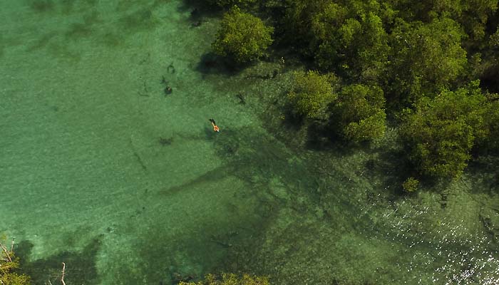 excursion mangrove Nosy Be